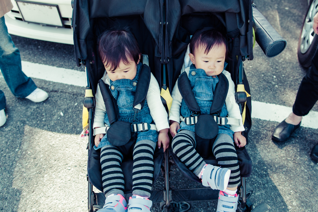 Duo Stroller Buggy